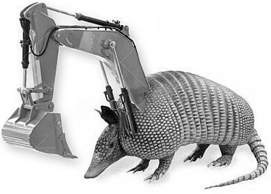 Photo - Armadillo Excavator (Excadillo)