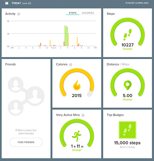 Screenshot of Fitbit Dashboard