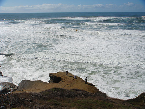 Photo - Cabrillo Tide Pools