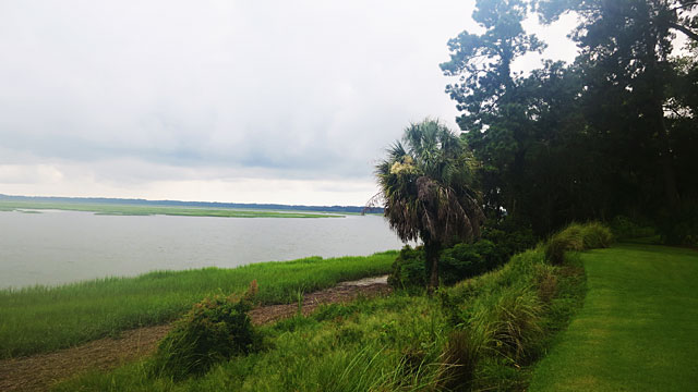 Looking south from our back yard