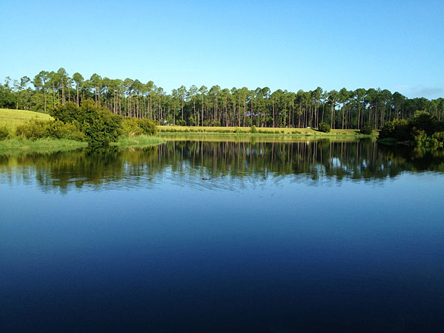 View from bike path