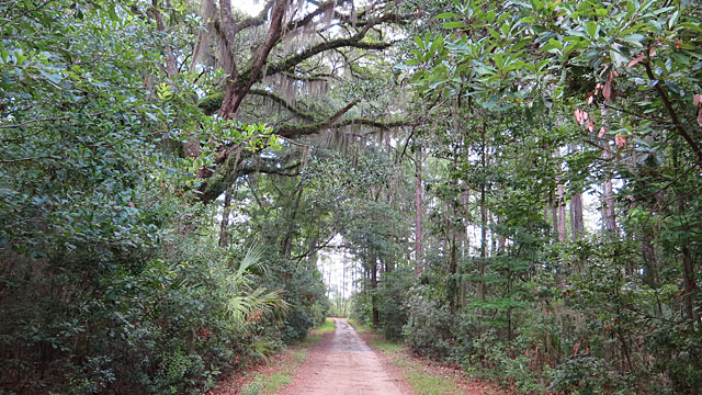 View down unpaved road