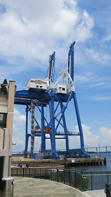 Container cranes at the docks