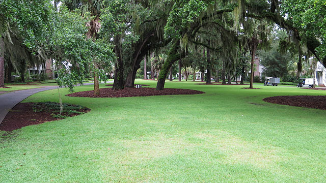 The common area in front of our cottage