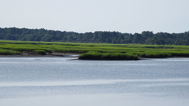 May River at low tide