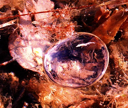 Stylized photo of bubble under a layer of ice