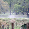Photo - Ice on Fence