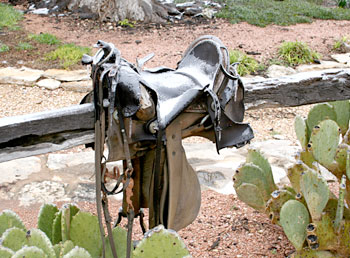 Photo - ice-covered saddle