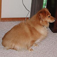 Photo of Abbye