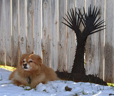 Photo of Abbye relaxing in the snow