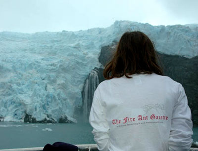 Photo - Fire Ant Gazette t-shirt wearer facing glacier