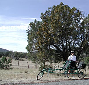 Photo - Recumbent Tandem (Ryan Duplex)