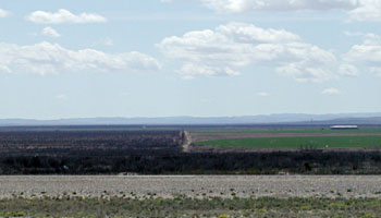 Photo of irrigated land in West Texas