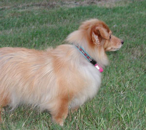 Abbye on alert