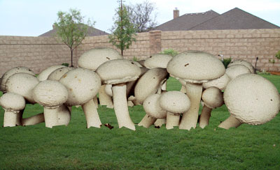 Photo of giant mushrooms superimposed onto lawn