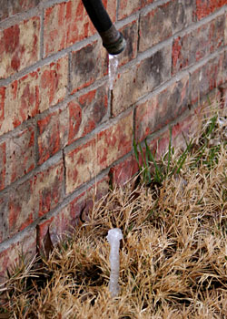 Photo - Ice Formation