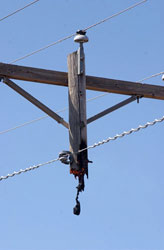 Photo: Burned Telephone Pole
