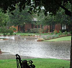 Now THIS is a picture of rainfall FX