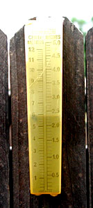Photo - West Texas Rain Gauge