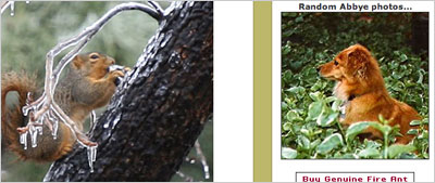 Screenshot of Abbye facing squirrel