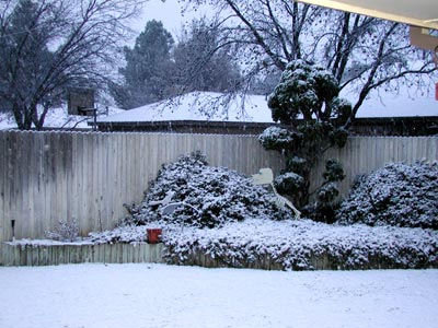 Photo - Snowfall in Midland