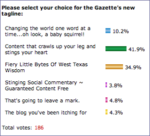 Screenshot of voting results