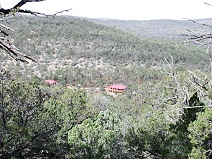 Photo of forest view from B&B
