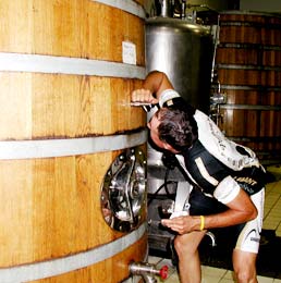 Photo - Oak barrels