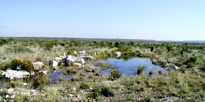 Photo - Pond in west Texas pasture
