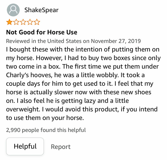 Screen capture of a review of the Segway Ninebots