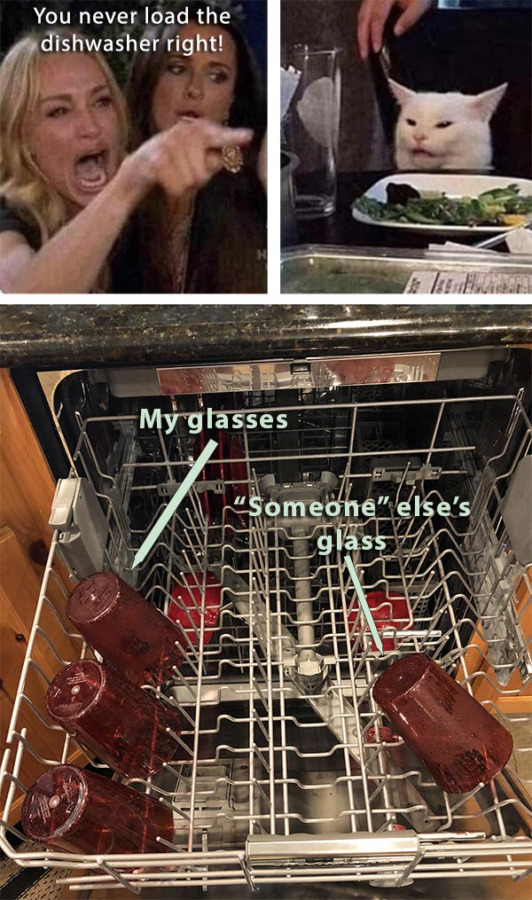 Cat meme applied to haphazard loading of a dishwasher