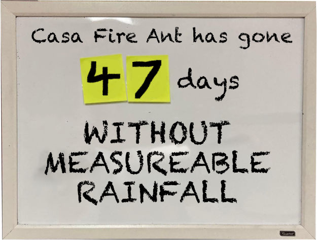 Graphic showing that it's been 47 days since we've had measurable rainfall