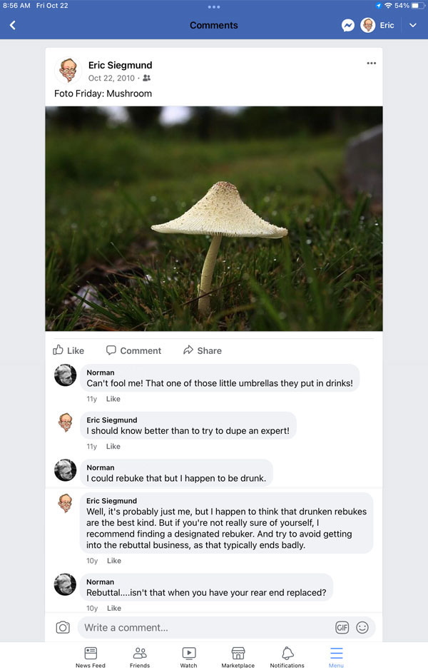 Screen capture of a Facebook comment thread about a photo of a mushroom