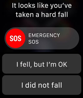 Photo - Apple Watch screen showing fall detection message