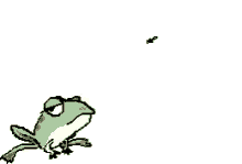 Animation of a frog eating a fly