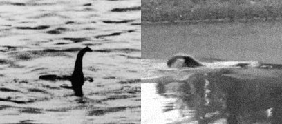 The Loch Ness Monster vs. a Texas beaver tail