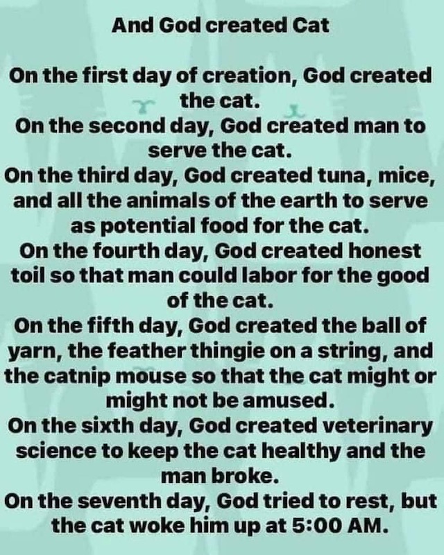 Meme: God created cats. Cats took over.