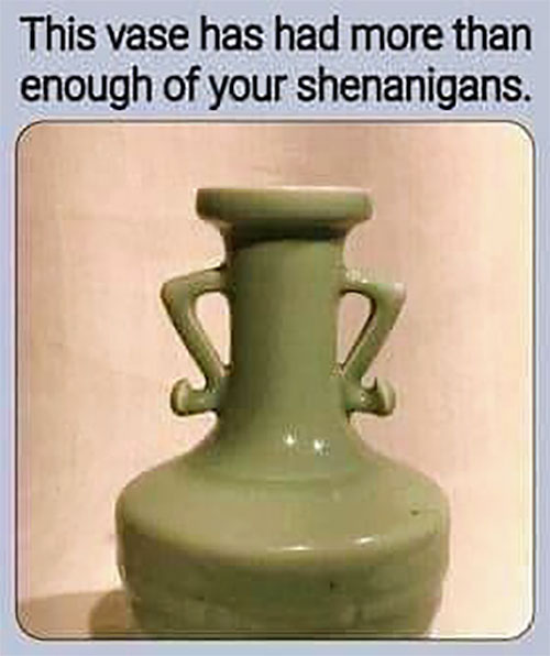 Meme: Fed up vase