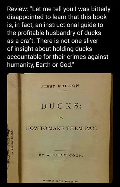 Meme: Review of book about ducks