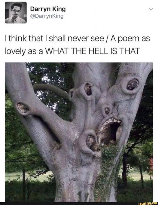 Meme - Scary Tree