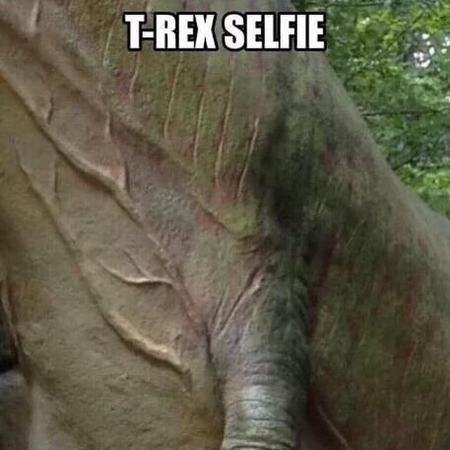 Meme: T-Rex selfie