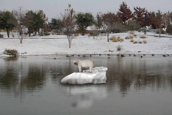 Photo of a polar bear on an iceberg