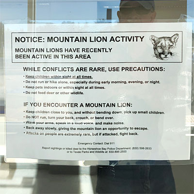 Sign at the post office warning us that we could be eaten by big feline predators