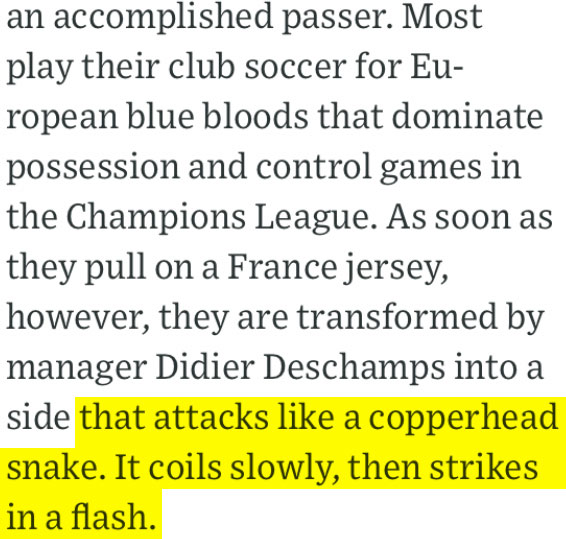 Excerpted passage from a newspaper article comparing a soccer team's speed to the strike of a copperhead snake