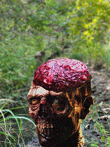 Zombie head with worms for brain