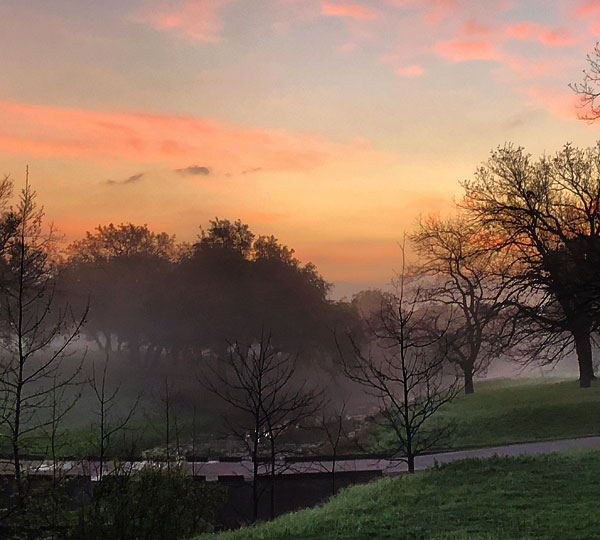 Photo - sunrise behind misty creek