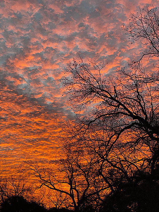 Photo - Fiery sky at sunrise