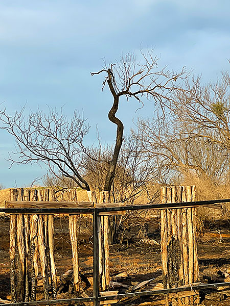 Photo - Burned acreage in Horseshoe Bay, Texas