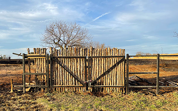 Photo - Untouched section of fence showing chained gate