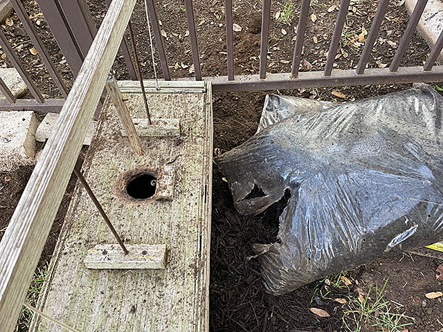 Photo: Bag of mulch vandalized by an armadillo